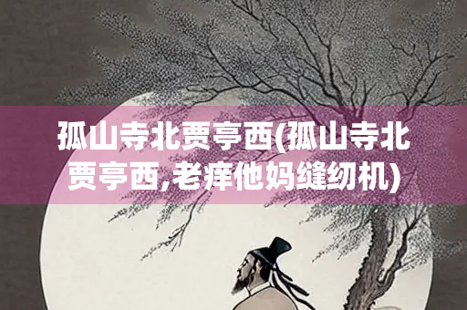 孤山寺北贾亭西(孤山寺北贾亭西,老痒他妈缝纫机)