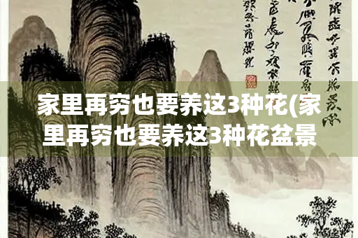 家里再穷也要养这3种花(家里再穷也要养这3种花盆景)