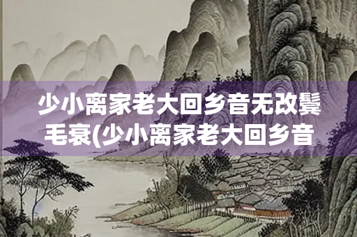少小离家老大回乡音无改鬓毛衰(少小离家老大回乡音无改鬓毛衰的意思)