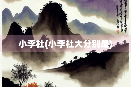 小李杜(小李杜大分别是)