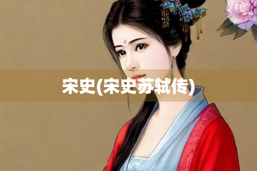 宋史(宋史苏轼传)