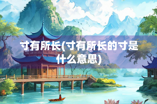 寸有所长(寸有所长的寸是什么意思)