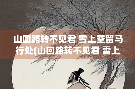山回路转不见君 雪上空留马行处(山回路转不见君 雪上空留马行处表达的感情)
