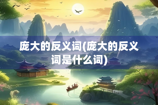 庞大的反义词(庞大的反义词是什么词)