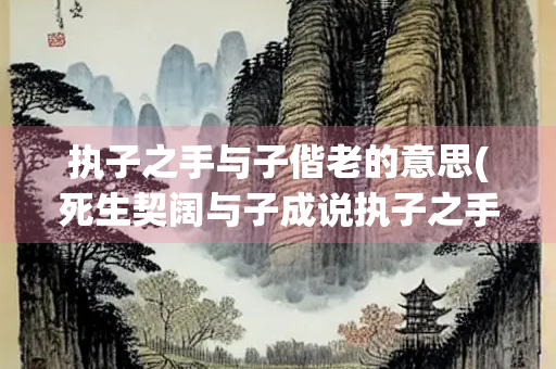执子之手与子偕老的意思(死生契阔与子成说执子之手偕老的意思)