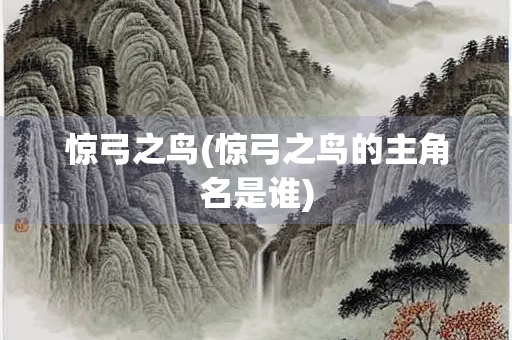 惊弓之鸟(惊弓之鸟的主角名是谁)