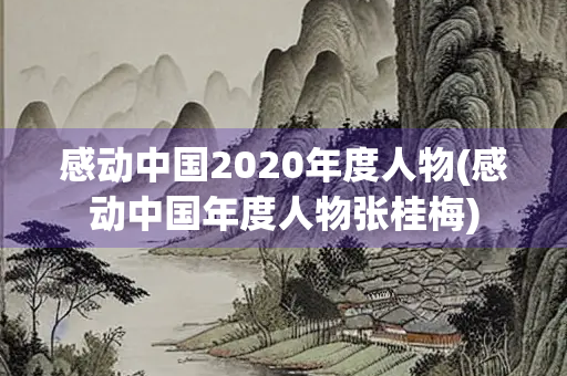 感动中国2020年度人物(感动中国年度人物张桂梅)