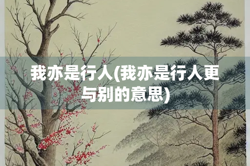我亦是行人(我亦是行人更与别的意思)