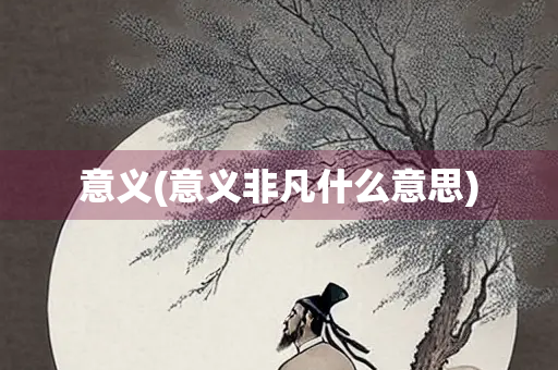 意义(意义非凡什么意思)