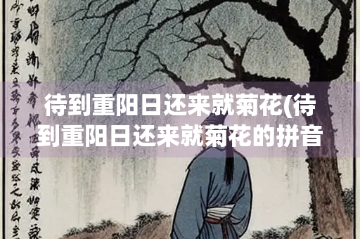 待到重阳日还来就菊花(待到重阳日还来就菊花的拼音)