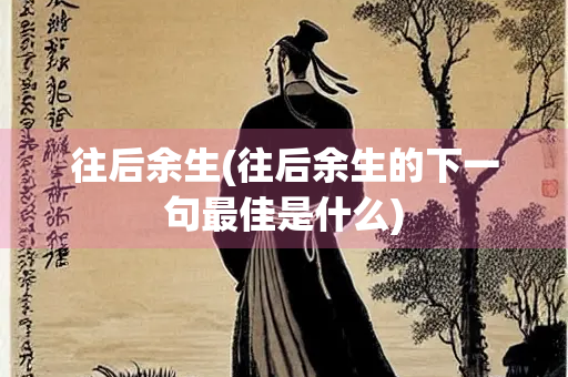 往后余生(往后余生的下一句最佳是什么)