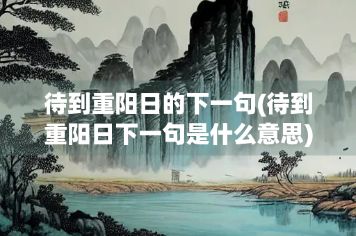待到重阳日的下一句(待到重阳日下一句是什么意思)