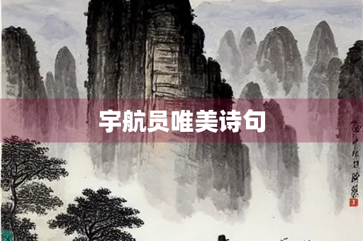 宇航员唯美诗句