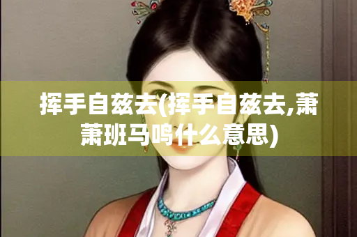 挥手自兹去(挥手自兹去,萧萧班马鸣什么意思)