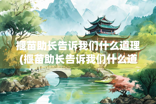 揠苗助长告诉我们什么道理(揠苗助长告诉我们什么道理10个字)