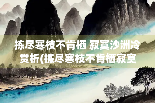 拣尽寒枝不肯栖 寂寞沙洲冷赏析(拣尽寒枝不肯栖寂寞沙洲冷典故)