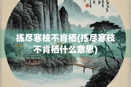 拣尽寒枝不肯栖(拣尽寒枝不肯栖什么意思)