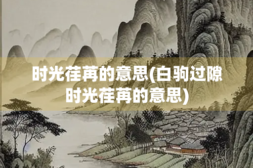 时光荏苒的意思(白驹过隙时光荏苒的意思)