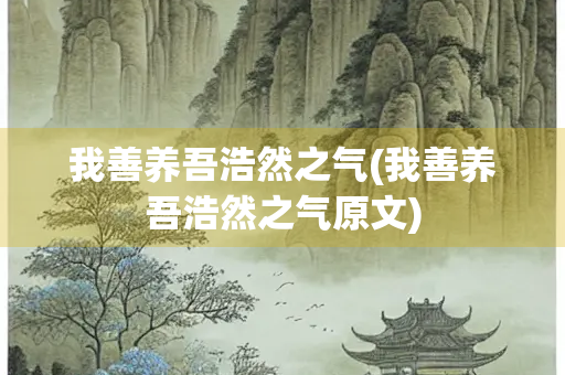 我善养吾浩然之气(我善养吾浩然之气原文)