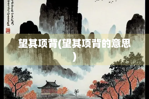 望其项背(望其项背的意思)