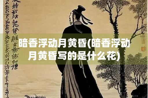 暗香浮动月黄昏(暗香浮动月黄昏写的是什么花)