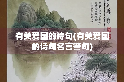 有关爱国的诗句(有关爱国的诗句名言警句)