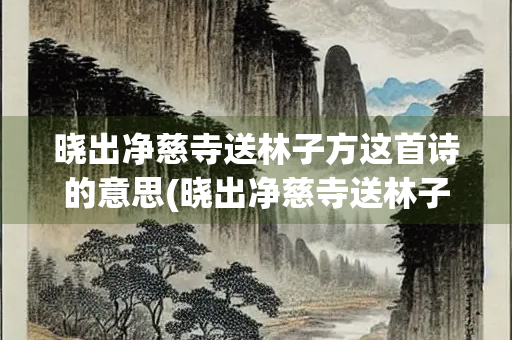 晓出净慈寺送林子方这首诗的意思(晓出净慈寺送林子方这首诗的意思翻译)