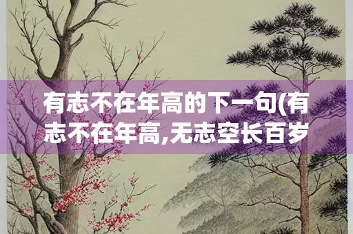 有志不在年高的下一句(有志不在年高,无志空长百岁的意思) 有志不在年高的下一句(有志不在年高,无志空长百岁的意思)