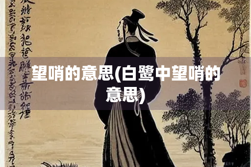 望哨的意思(白鹭中望哨的意思)
