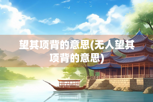 望其项背的意思(无人望其项背的意思) 望其项背的意思(无人望其项背的意思)