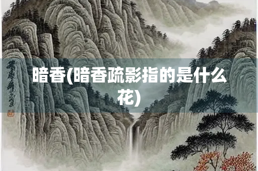 暗香(暗香疏影指的是什么花)