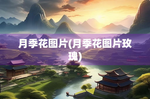 月季花图片(月季花图片玫瑰) 月季花图片(月季花图片玫瑰)