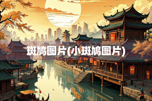 斑鸠图片(小斑鸠图片) 斑鸠图片(小斑鸠图片)