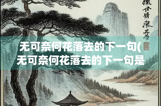 无可奈何花落去的下一句(无可奈何花落去的下一句是谁)