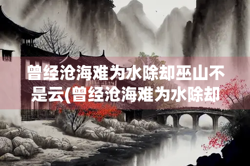 曾经沧海难为水除却巫山不是云(曾经沧海难为水除却巫山不是云是一种内省)