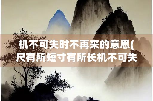 机不可失时不再来的意思(尺有所短寸有所长机不可失时不再来的意思)