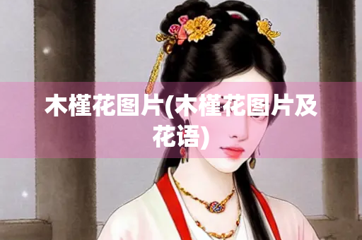 木槿花图片(木槿花图片及花语)