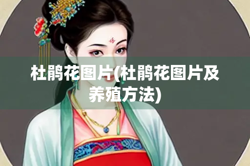 杜鹃花图片(杜鹃花图片及养殖方法)