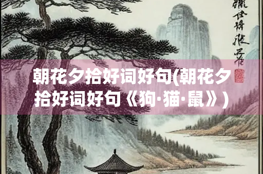 朝花夕拾好词好句(朝花夕拾好词好句《狗·猫·鼠》)