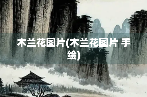 木兰花图片(木兰花图片 手绘)