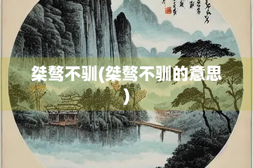 桀骜不驯(桀骜不驯的意思)
