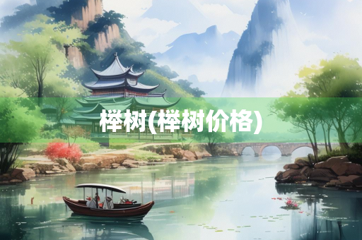 榉树(榉树价格)