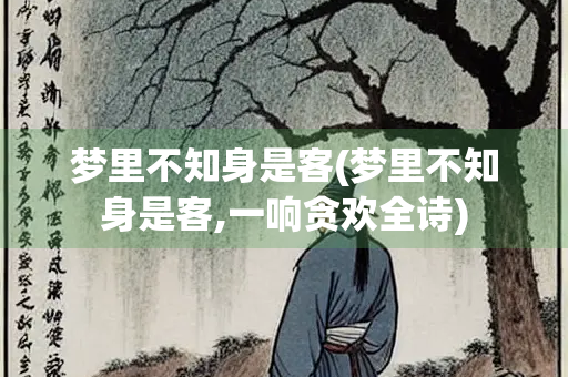 梦里不知身是客(梦里不知身是客,一响贪欢全诗)