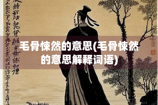 毛骨悚然的意思(毛骨悚然的意思解释词语)
