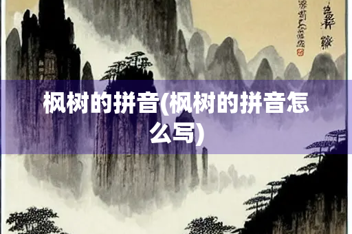 枫树的拼音(枫树的拼音怎么写)