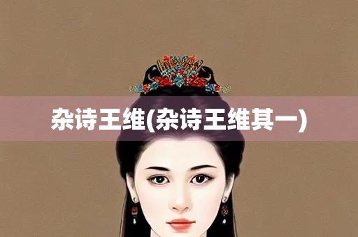 杂诗王维(杂诗王维其一)