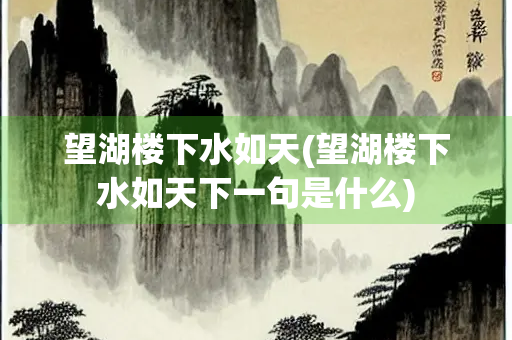 望湖楼下水如天(望湖楼下水如天下一句是什么)