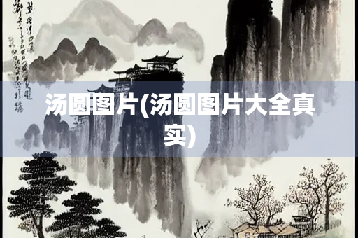 汤圆图片(汤圆图片大全真实)