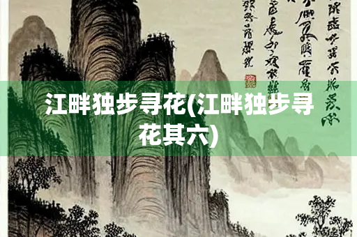 江畔独步寻花(江畔独步寻花其六)