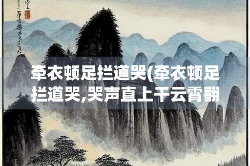 牵衣顿足拦道哭(牵衣顿足拦道哭,哭声直上干云霄翻译)